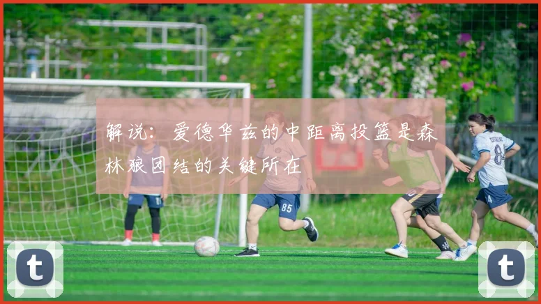 解说：爱德华兹的中距离投篮是森林狼团结的关键所在